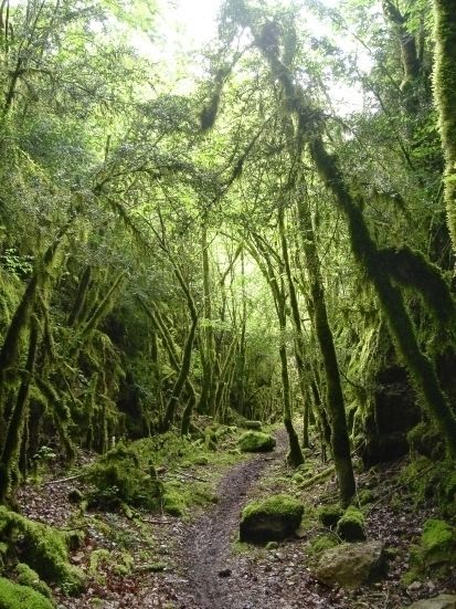 VENTE DE BOIS de chauffage